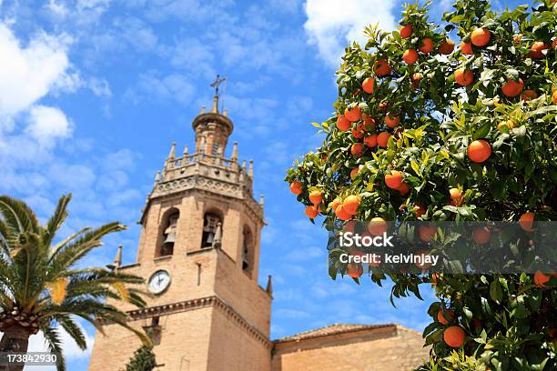 Апельсиновое Дерево В Ronda Andalucia Испания — стоковые фотографии и другие картинки Андалусия - Андалусия, Ронда, Провинция Малага