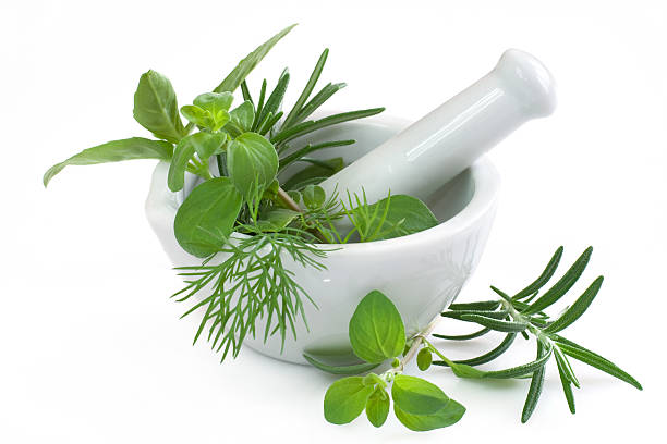 istock Fresh herbs in a white mortar on a white background. 173843203