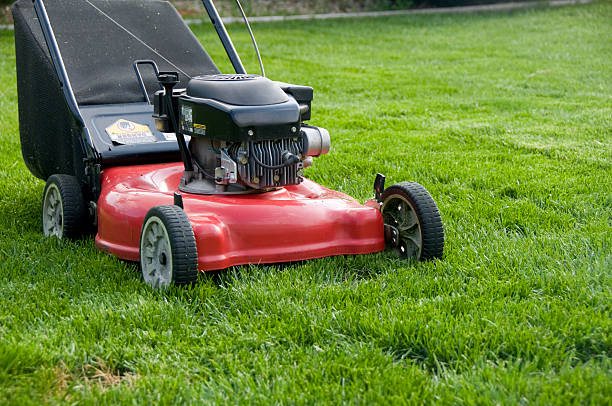 istock A red lawnmower on green grass 173843430