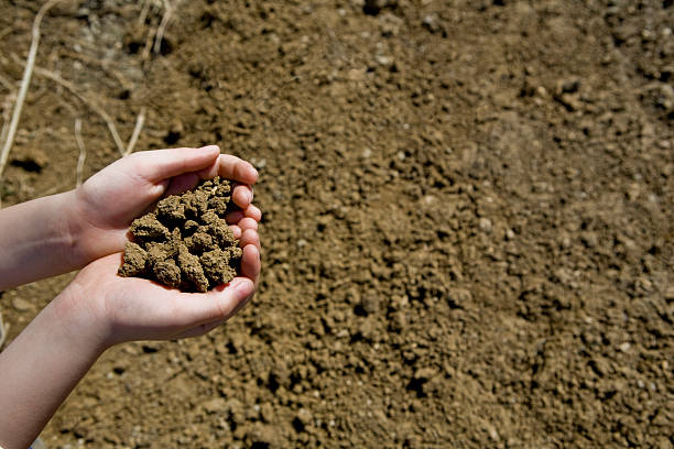 istock Children Dirt Handful Series 173843598
