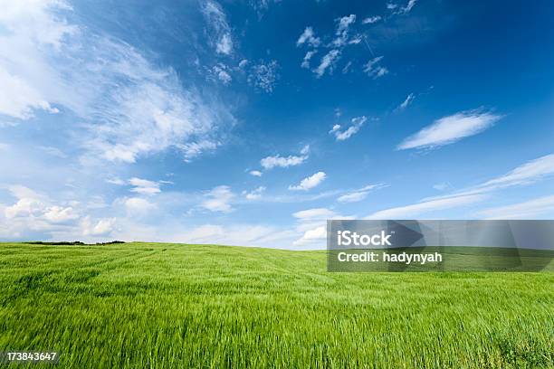 Paesaggio Di Primavera - Fotografie stock e altre immagini di Cielo - Cielo, Blu, Nube