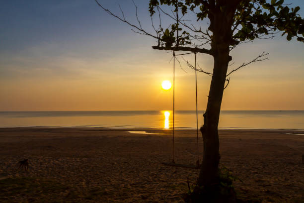 istock Sunrise and silhouette of tree at beach 1738438054