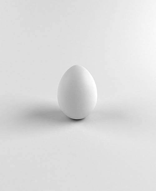Single white egg on studio background stock photo