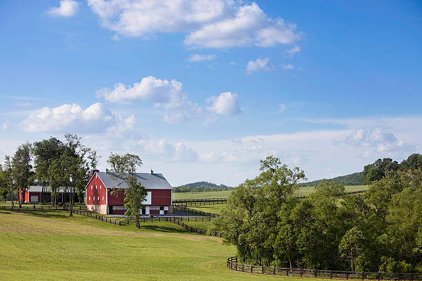 istock Rural farm house and pasture 173844135