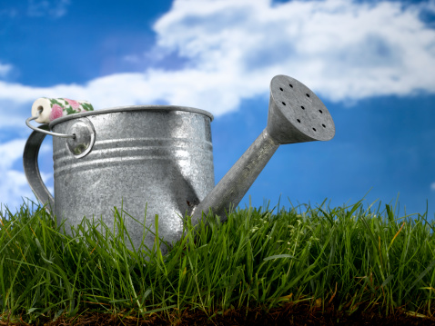 silver can sitting on grass with blue sky background