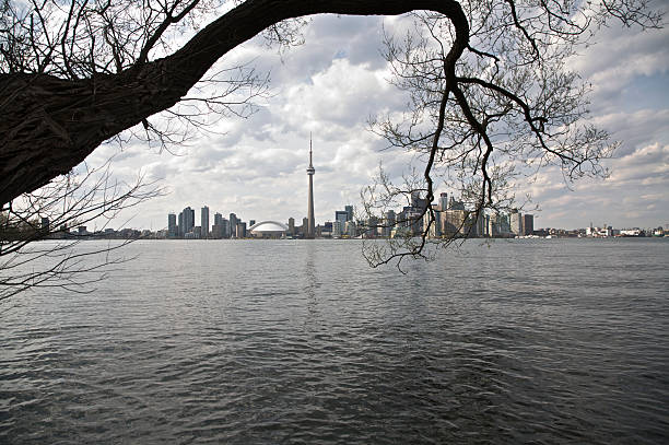 istock City of toronto framed by tree 173844588