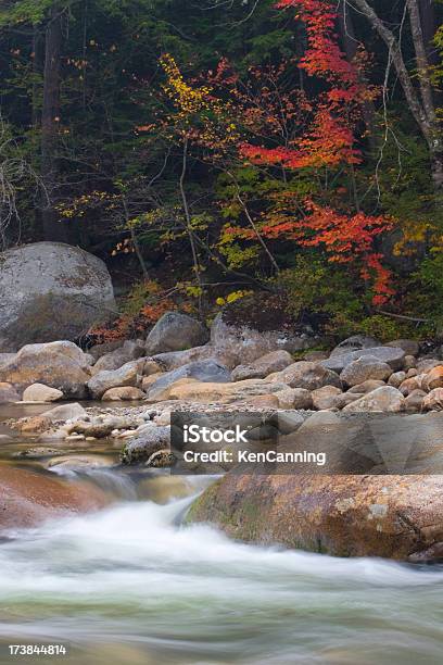 Jesień Górski Potok - zdjęcia stockowe i więcej obrazów Ameryka Północna - Ameryka Północna, Bez ludzi, Brązowy