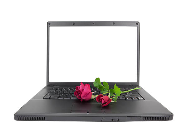 istock Roses on Laptop Isolated with Clipping Path XXXL 173845189