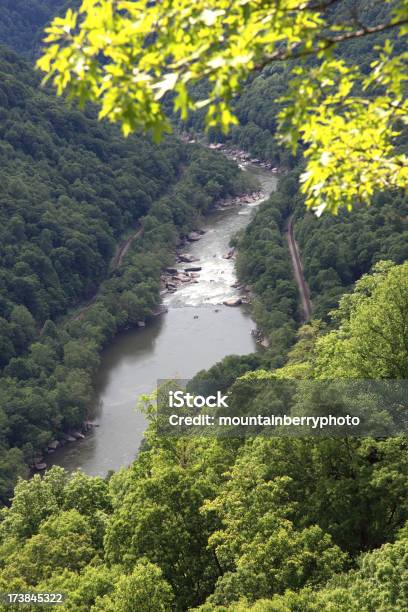 New Fiume Barca - Fotografie stock e altre immagini di Acqua - Acqua, Albero, Ambientazione esterna