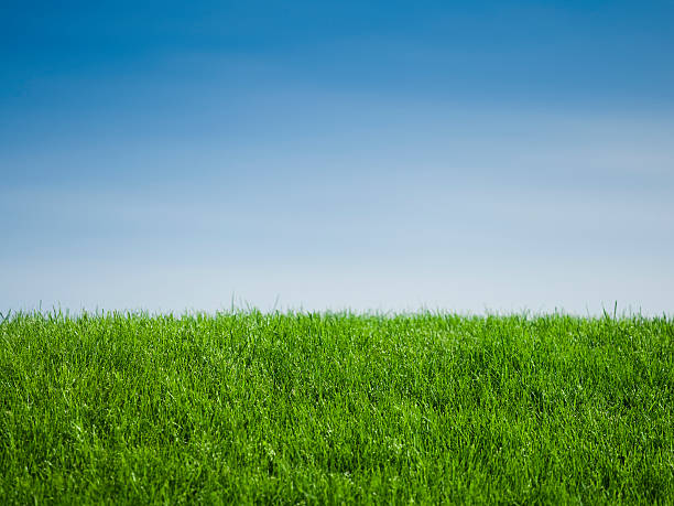 istock Outdoor fresh air background 173845863