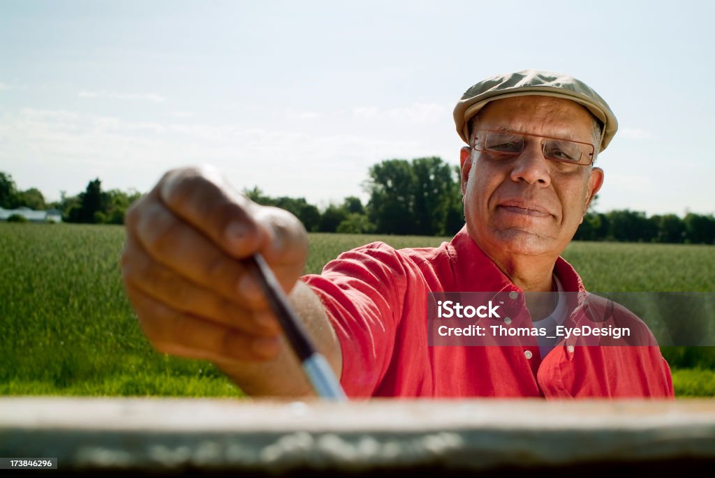 Starszy mężczyzna na polu - Zbiór zdjęć royalty-free (Mężczyźni)