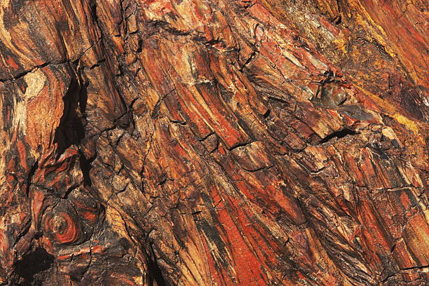 Petrified Wood Fossil Triassic Chinle Archaeology "Petrified wood fossil close-up.  The colors of ochre brown red and orange in this petrified wood sample excavated from Petrified Forest National Park and Painted Desert in Arizona are the result of iron minerals that soaked into the plant cells during the Late Triassic Epoch, converting them to stone.  This sample and the petrification in the area is part of the Chinle geological formation from that period.  Although the park is characterized primarily by arid grassland today, some 200 million years ago it was a fluvial plain, with river habitat, forests and dinosaurs." chinle arizona stock pictures, royalty-free photos & images