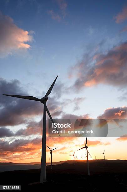 Wind Farm Bei Sonnenuntergang Stockfoto und mehr Bilder von Australien - Australien, Wind, Elektrizität