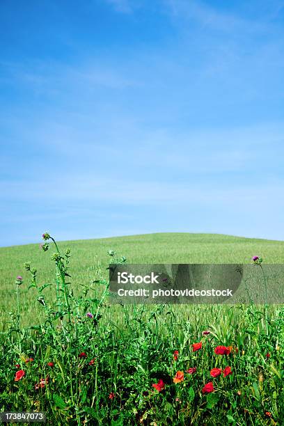 Herrlichen Panorama Stockfoto und mehr Bilder von Anhöhe - Anhöhe, Bildhintergrund, Blau