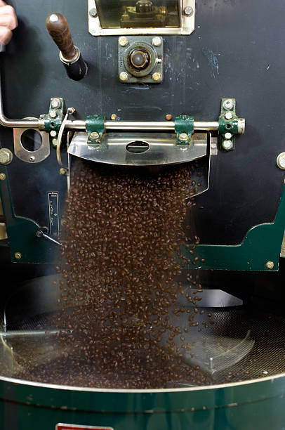 istock Freshly Roasted Coffee Beans Dropping from Hopper 173848217