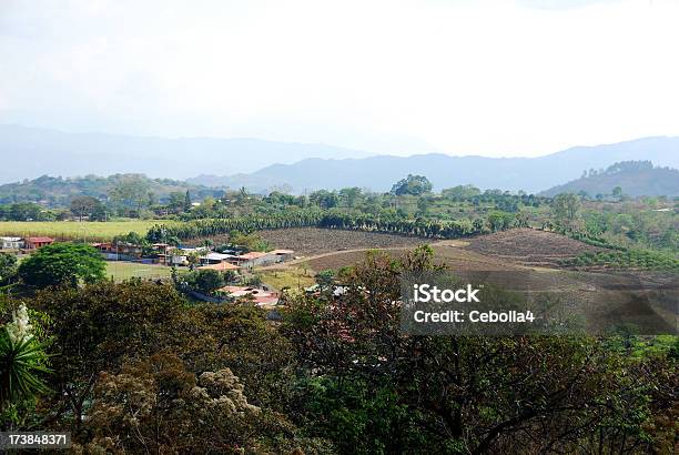 커피 플렌테이션 중앙 Costa Rica 커피에 대한 스톡 사진 및 기타 이미지 - 커피, 코스타리카, 플랜테이션