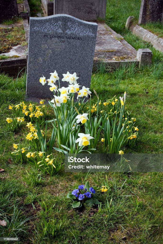 Grave e lapidi in un cimitero - Foto stock royalty-free di Nuovo