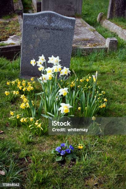 Grób I Gravestones W Cemetery - zdjęcia stockowe i więcej obrazów Nowy - Nowy, Cmentarz, Grób