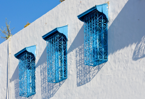 in sidi Bou Saidin the blue and white town of Sidi Bou Said / Tunis