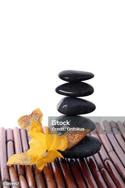 Foto de Flores E Pedras Lávicas Isolada No Branco e mais fotos de stock de Amarelo - Amarelo, Arranjo, Beleza