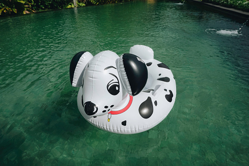 A portrait of a dog-shaped buoy floating in a swimming pool