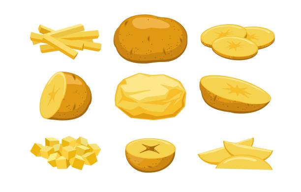 illustrations, cliparts, dessins animés et icônes de ensemble de dessins animés de pommes de terre fraîches - french fries fast food french fries raw raw potato