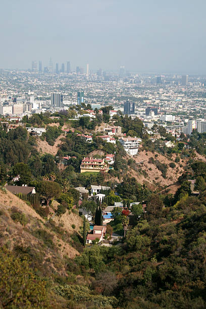 istock View of Los Angeles 173850349