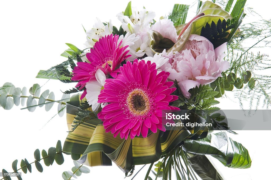 Flower bouquet isolated on white. Colored flower bouquet isolated on white background. Studio shot. Beauty In Nature Stock Photo