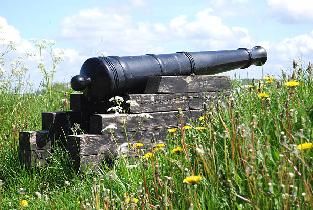 Old cannon stock photo