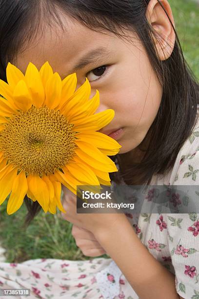 Peeking From Behind Sunflower Stock Photo - Download Image Now - 6-7 Years, Asian and Indian Ethnicities, Beautiful People