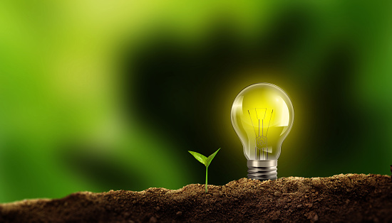 Light Bulb with Small Plant on Soil in Green nature bokeh background. Save Erath and Planet, Sustainable Energy and Ecological Friendly Concept