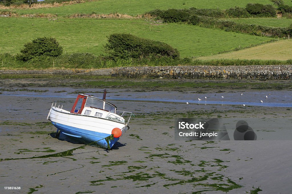 Boat at Low Tide, County Cork, Ireland Small fishing boat, beached at low tide, near Clonakilty, West Coast of Ireland Buoy Stock Photo