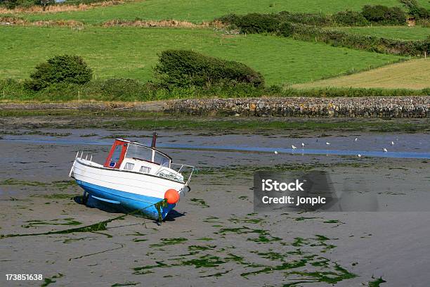 Boat At Low Tide County Cork Ireland Stock Photo - Download Image Now - Buoy, Coastline, County Cork