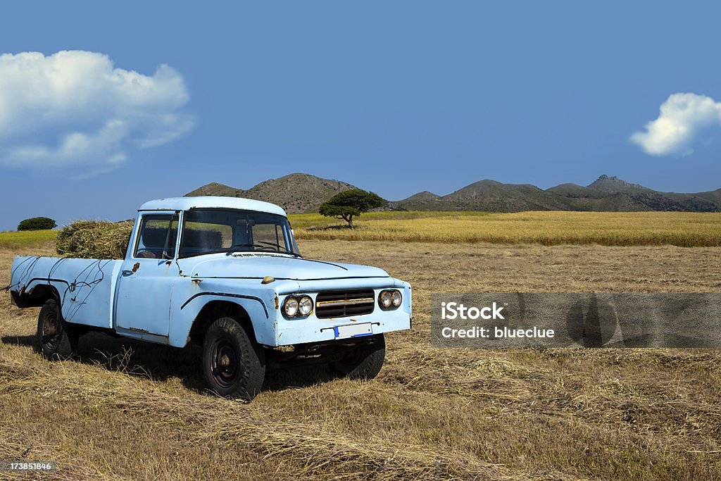 Farmer's old truck "Old, blue farmer's truck in the wheat field, beautiful spring day.Shot taken with 5D Mark II, 24-70 canon lens, selective focus, xxl." Agricultural Field Stock Photo