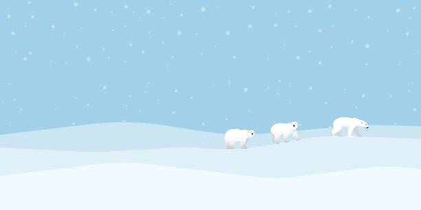 氷の上を歩くホッキョクグマの家族は、北極のベクターイラストで降雪します。空白のスペースを持つ雪の風景のコンセプト。 - pole sign north north pole点のイラスト素材／クリップアート素材／マンガ素材／アイコン素材