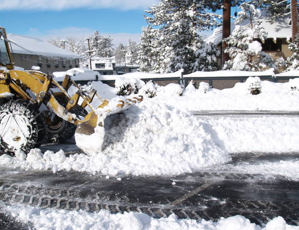 passando a neve - snow removal - fotografias e filmes do acervo