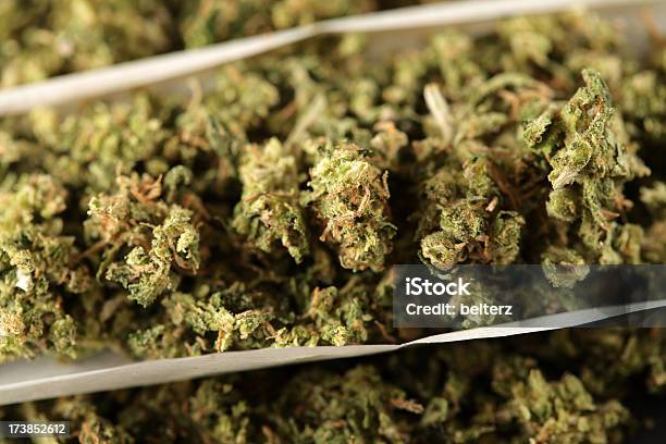 Reefer Stock Photo - Download Image Now - Cannabis Plant, Close-up, Concepts