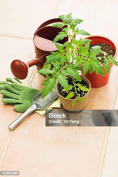 Spring Gardening Vt Stock Photo - Download Image Now - Container, Copy Space, Flower Pot