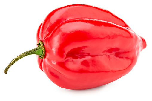 red habanero chili hot peppers isolated on white background. clipping path