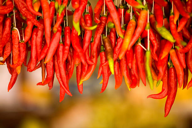 istock Hanging red chili peppers against blurred background 173853128