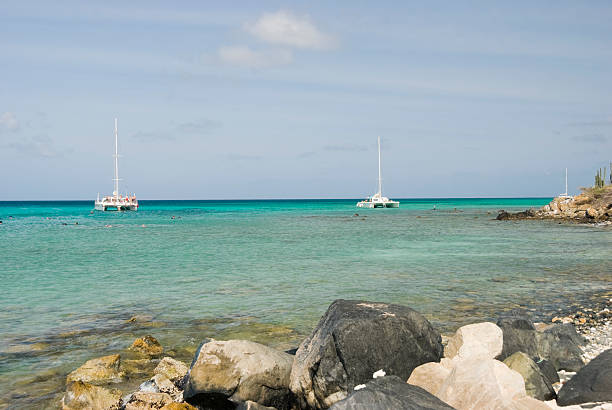 istock Group of Snorkelers at a Tropical Beach 173853380