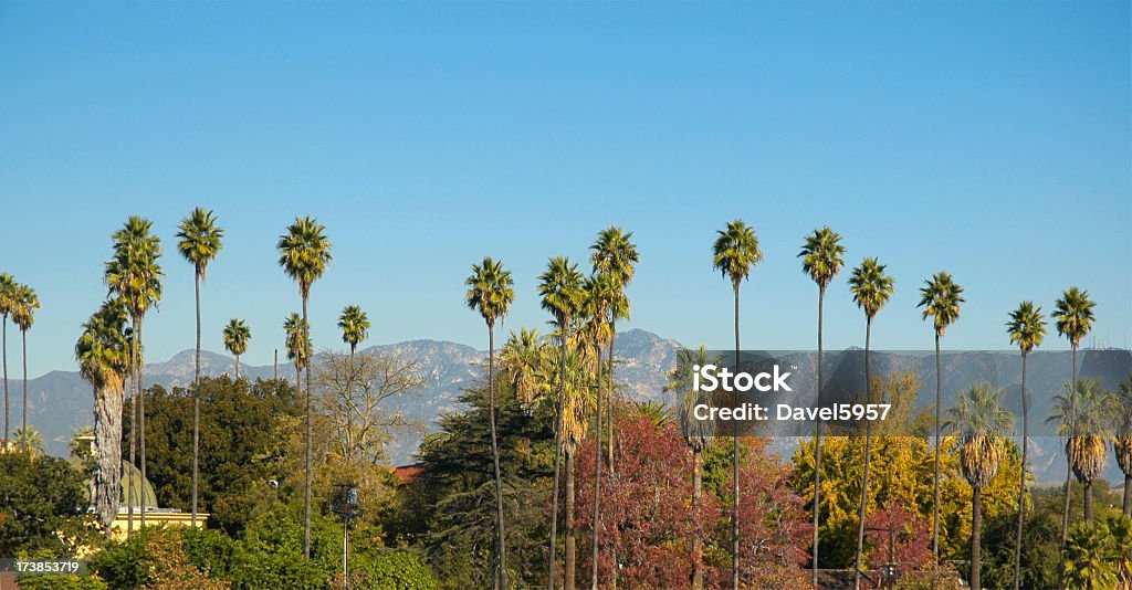 ヤシの木と山のロサンゼルス - サンガブリエル山脈のロイヤリティフリーストックフォト