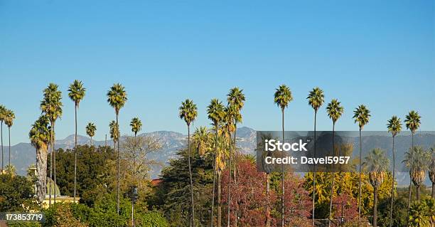 Palma Árvores E Montanhas Em Los Angeles - Fotografias de stock e mais imagens de Montanhas San Gabriel - Montanhas San Gabriel, Cidade de Los Angeles, Condado de Los Angeles