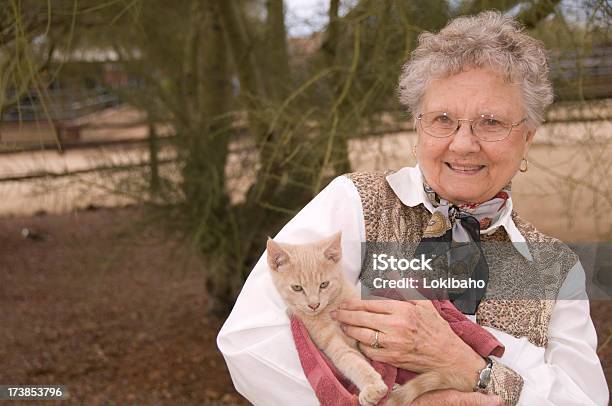 Senior Mujer Sosteniendo Un Gato Foto de stock y más banco de imágenes de Gato doméstico - Gato doméstico, Mujeres mayores, Adulto