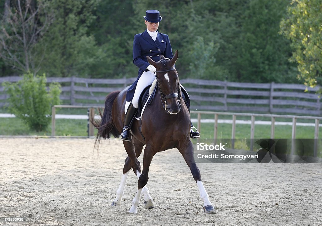 Jeune cavalier et son cheval de dressage - Photo de Dressage équestre libre de droits
