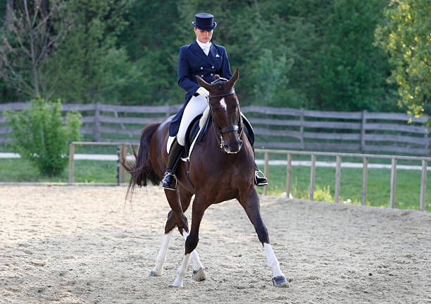 jeune cavalier et son cheval de dressage - women bride personal accessory adult photos et images de collection