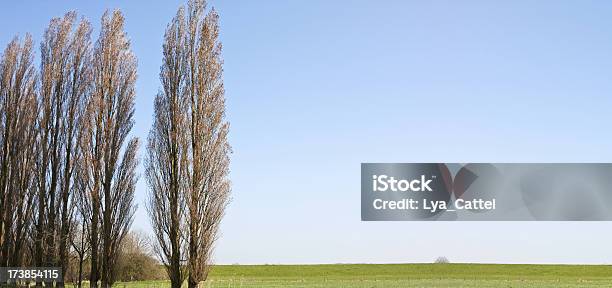 Paisagem Xl Choupo - Fotografias de stock e mais imagens de Ao Ar Livre - Ao Ar Livre, Azul, Cena Rural