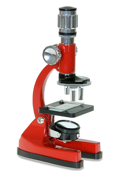 Mikroskop – Foto