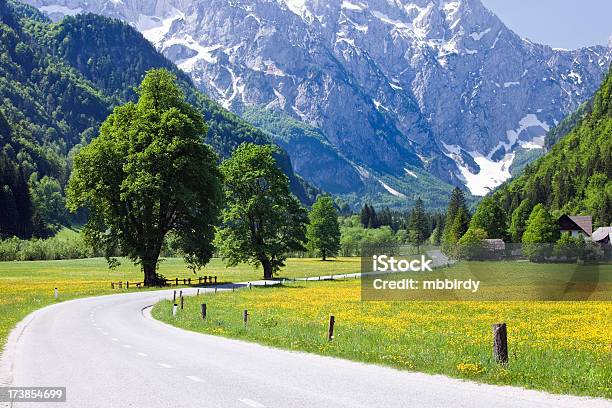 のどかなアルプスヴァレイ - Logar Valley - Sloveniaのストックフォトや画像を多数ご用意 - Logar Valley - Slovenia, カラフル, カラー画像