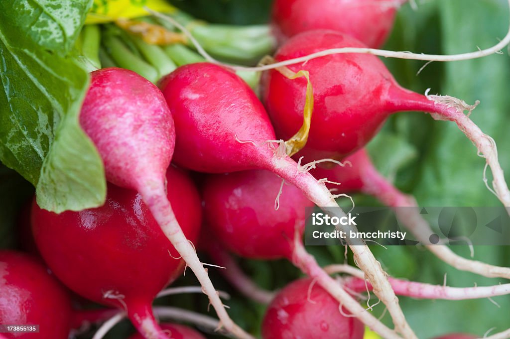 Close-up of red radishes with green leaves Macro of red radishes at Portland's Farmer Market. Radish Stock Photo